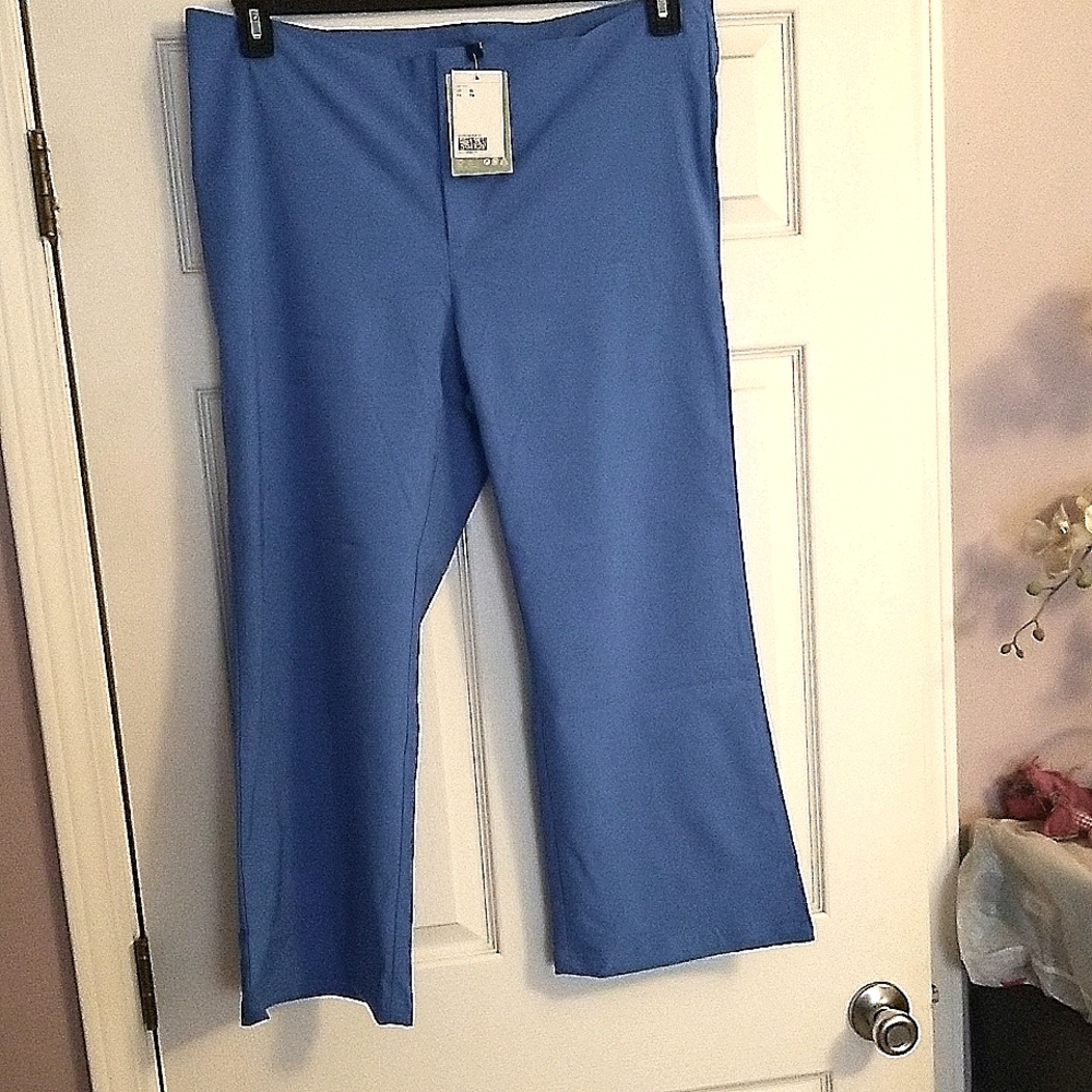 H & M Blue Crop Pants